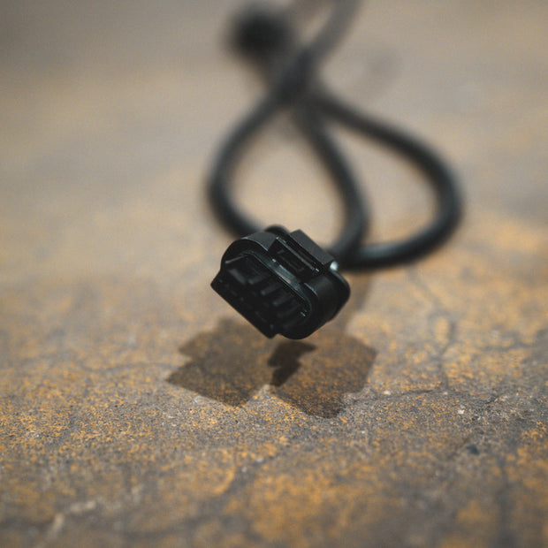 Extension Harness